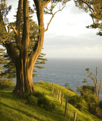 Bucks_Point2008_Robin_Nisbet800px